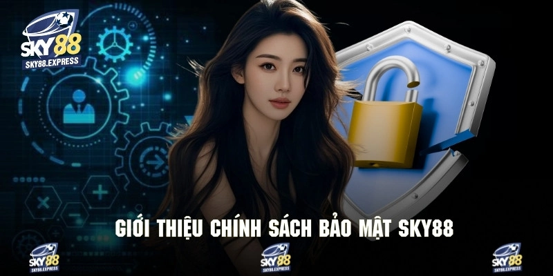 Chính Sách Bảo Mật Sky88 1 Tổng quan thông tin về chính sách bảo mật cho người chơi