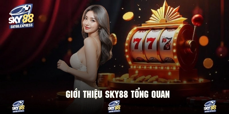 Thông tin giới thiệu cơ bản về nhà cái đình đám sky88