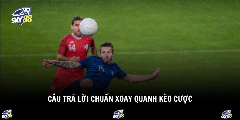 Câu trả lời chuẩn xoay quanh kèo cược 
